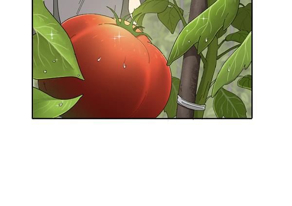 绯色诱惑漫画-[第7话] 血滴般的番茄落下（2）全彩韩漫标签