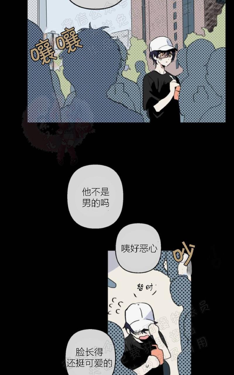 【一见倾心/puppylove】漫画-（第1话）章节漫画下拉式图片-23.jpg