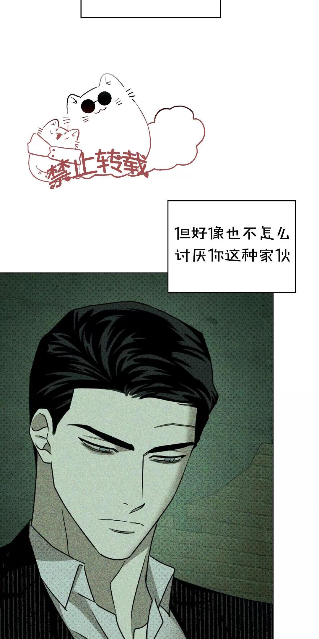 【绿色镌像】漫画-（第27话）章节漫画下拉式图片-第13张图片