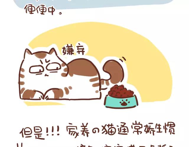 《41厘米的超幸福》漫画最新章节第114话 宠物禁养？！免费下拉式在线观看章节第【13】张图片