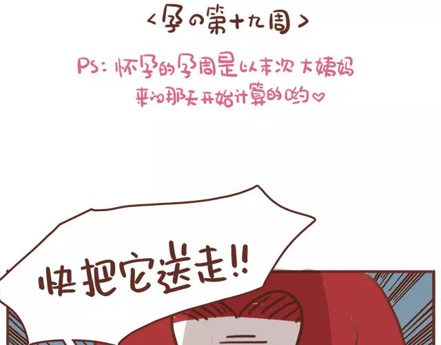 《41厘米的超幸福》漫画最新章节第114话 宠物禁养？！免费下拉式在线观看章节第【2】张图片