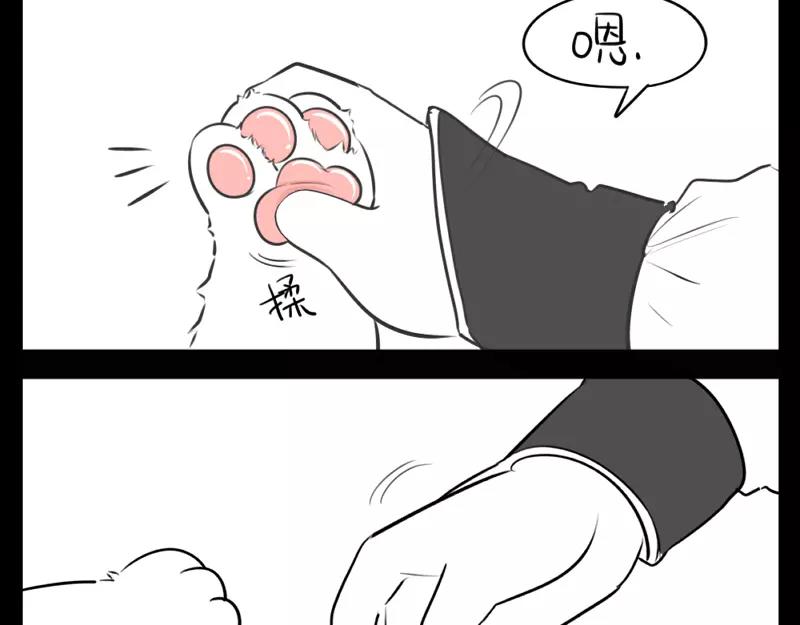 《诶？捡到一个小僵尸（第2季）》漫画最新章节番外 小猫妖免费下拉式在线观看章节第【12】张图片