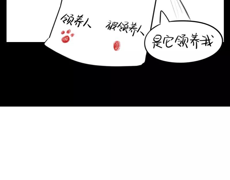 《诶？捡到一个小僵尸（第2季）》漫画最新章节番外 小猫妖免费下拉式在线观看章节第【30】张图片