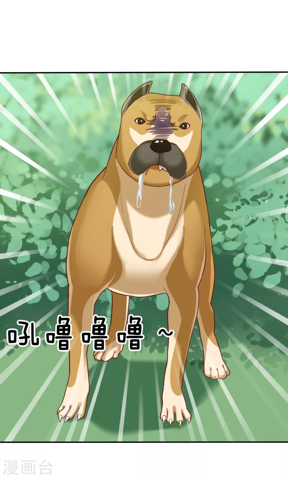 《爱情练习生》漫画最新章节第3话 恋爱是怎么样谈呢？免费下拉式在线观看章节第【14】张图片