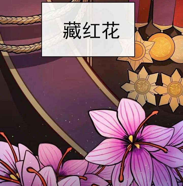 《阿米娜的神灯奇遇》漫画最新章节第11话免费下拉式在线观看章节第【41】张图片