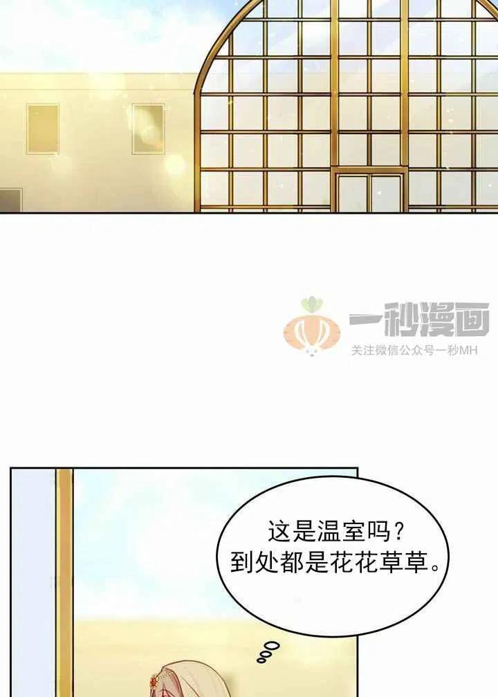 《阿米娜的神灯奇遇》漫画最新章节第11话免费下拉式在线观看章节第【50】张图片