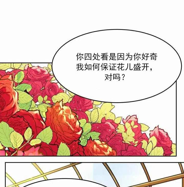 《阿米娜的神灯奇遇》漫画最新章节第11话免费下拉式在线观看章节第【75】张图片