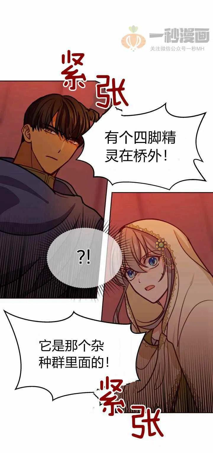 《阿米娜的神灯奇遇》漫画最新章节第13话免费下拉式在线观看章节第【51】张图片