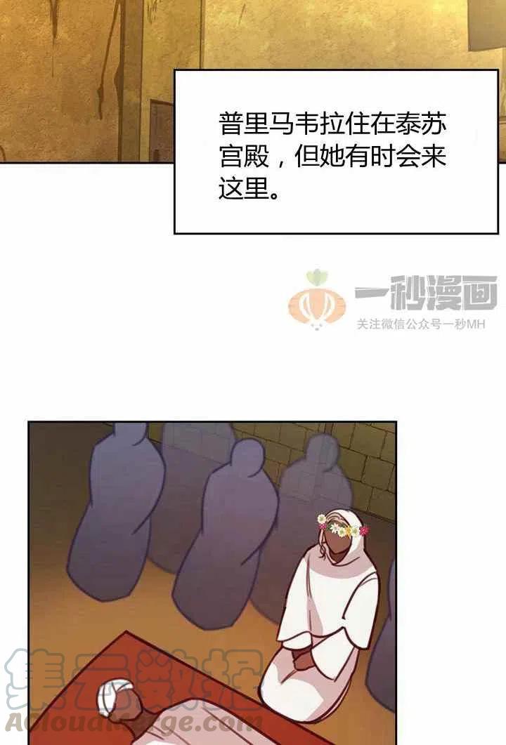 《阿米娜的神灯奇遇》漫画最新章节第14话免费下拉式在线观看章节第【43】张图片