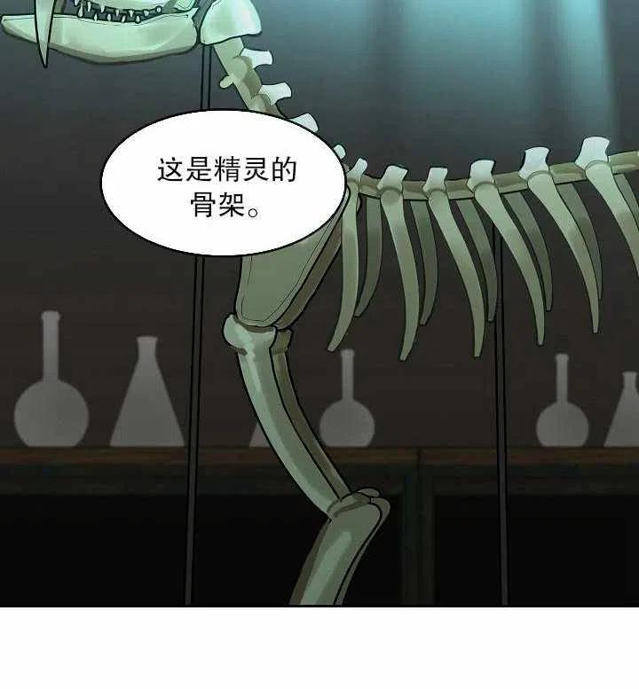 《阿米娜的神灯奇遇》漫画最新章节第17话免费下拉式在线观看章节第【12】张图片