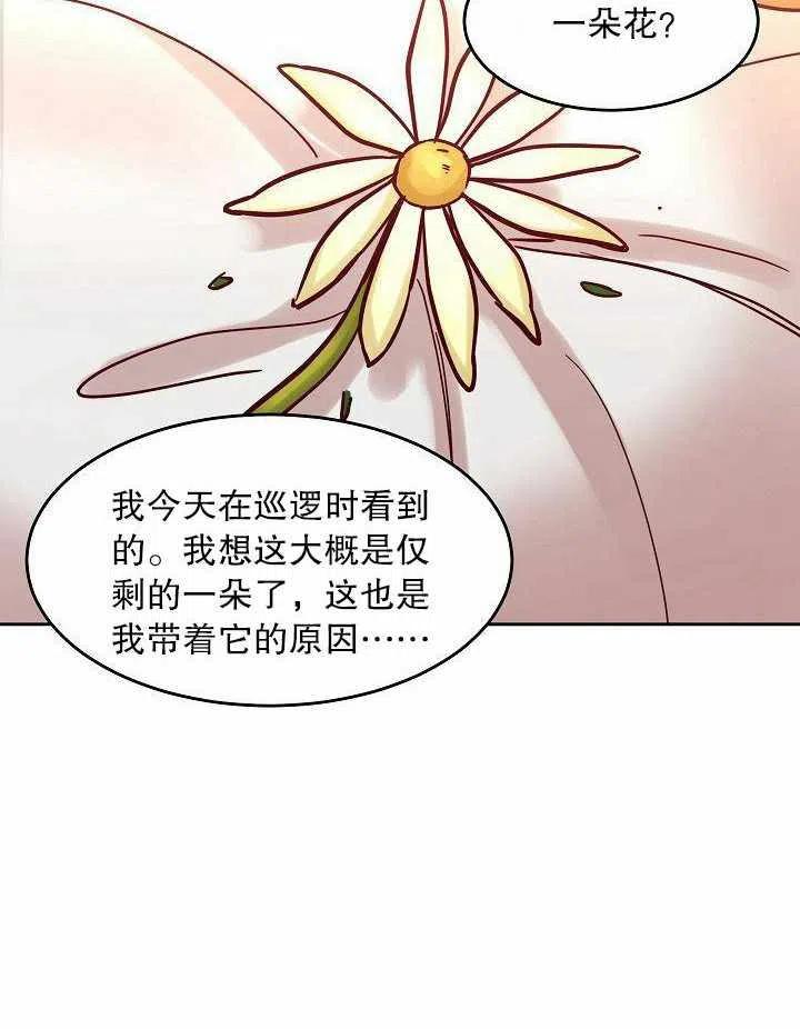 《阿米娜的神灯奇遇》漫画最新章节第17话免费下拉式在线观看章节第【35】张图片