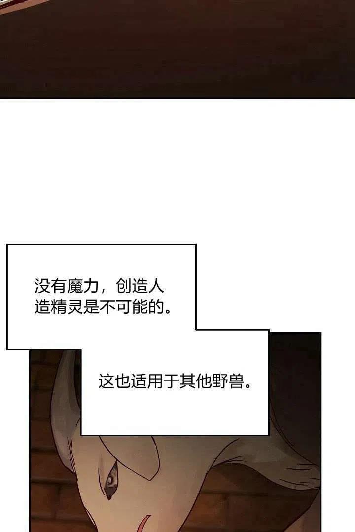 《阿米娜的神灯奇遇》漫画最新章节第19话免费下拉式在线观看章节第【17】张图片