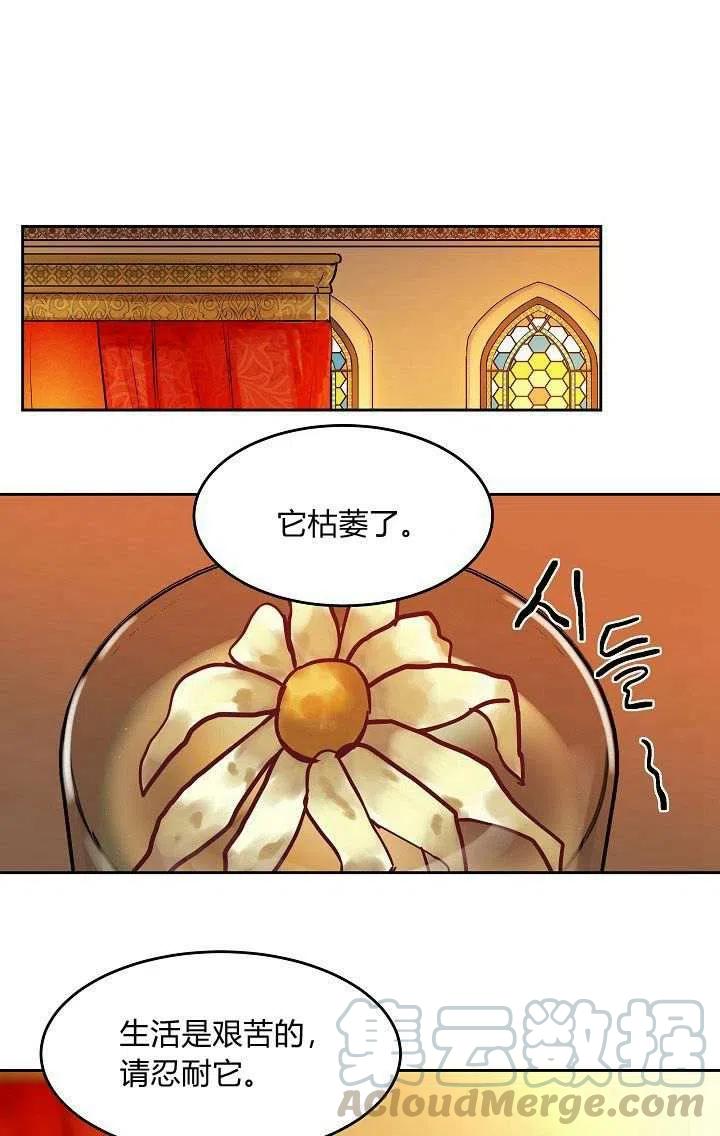 《阿米娜的神灯奇遇》漫画最新章节第19话免费下拉式在线观看章节第【40】张图片