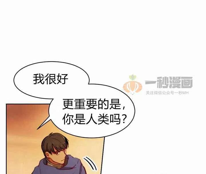 《阿米娜的神灯奇遇》漫画最新章节第5话免费下拉式在线观看章节第【100】张图片