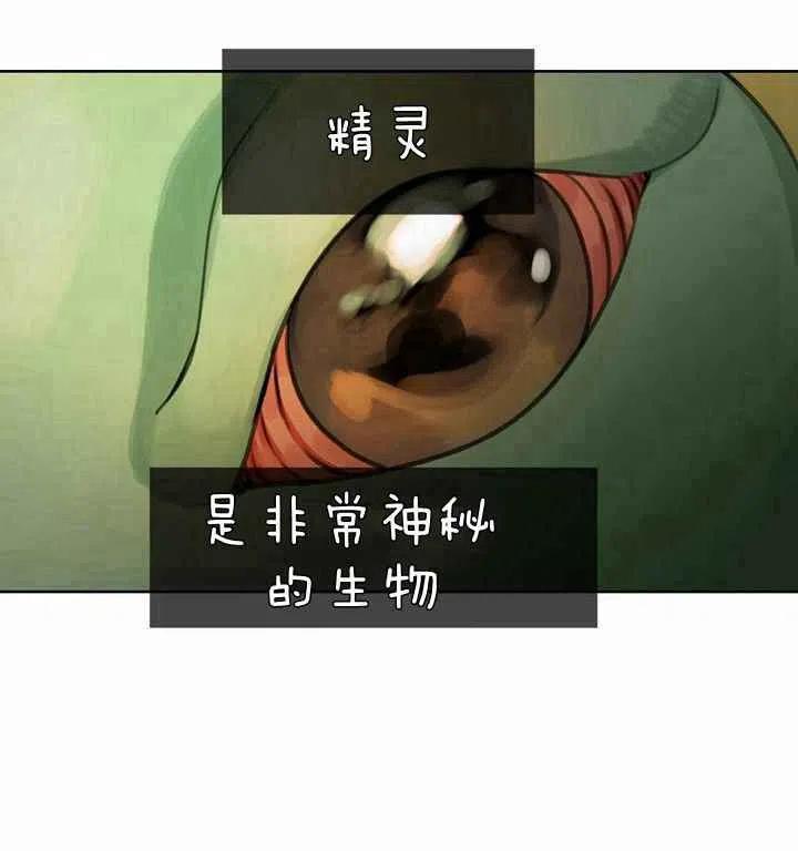 《阿米娜的神灯奇遇》漫画最新章节第5话免费下拉式在线观看章节第【70】张图片