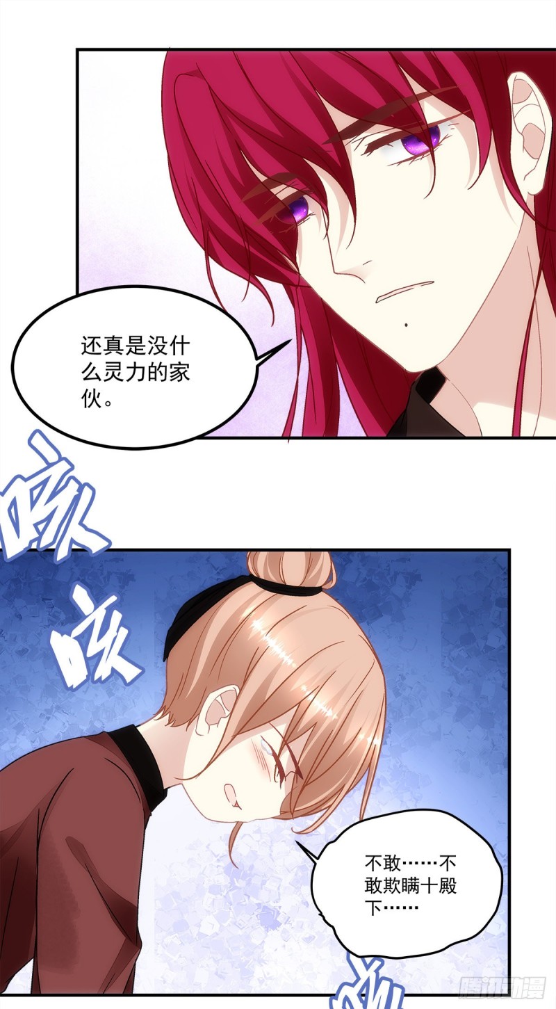 《暗夜无常》漫画最新章节第151话：千雁免费下拉式在线观看章节第【6】张图片