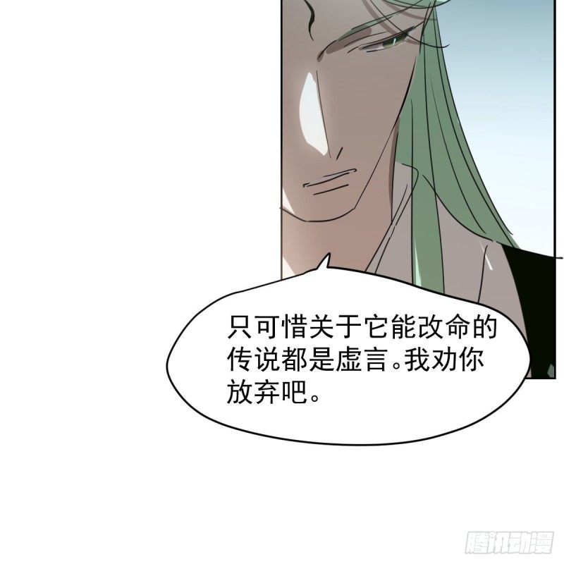 《敖敖待捕》漫画最新章节第114话 万象之盘免费下拉式在线观看章节第【43】张图片