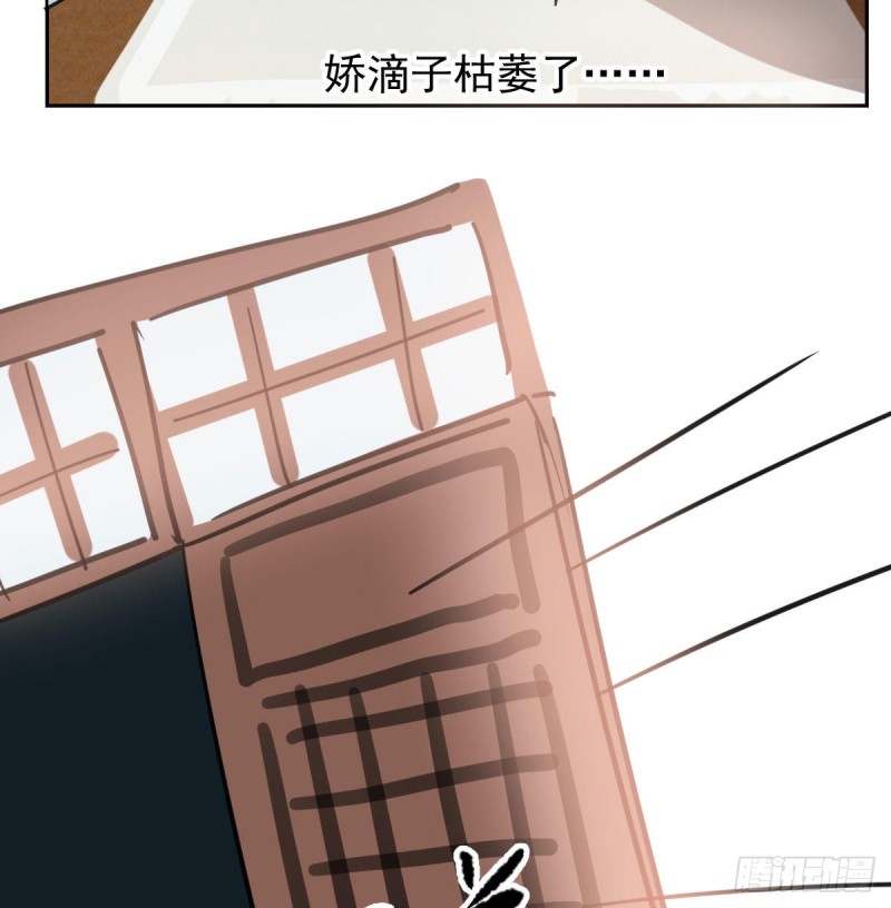 《敖敖待捕》漫画最新章节第116话 玄月走了免费下拉式在线观看章节第【13】张图片