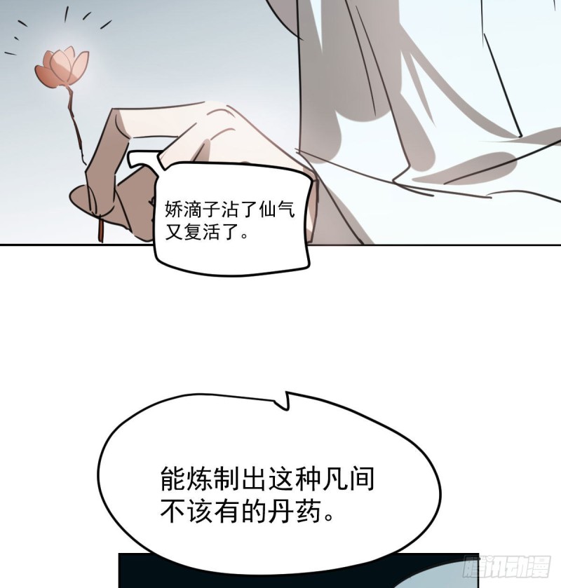 《敖敖待捕》漫画最新章节第116话 玄月走了免费下拉式在线观看章节第【30】张图片