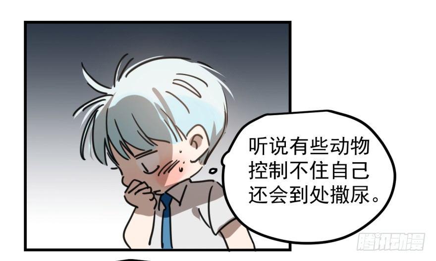 《敖敖待捕》漫画最新章节第十一话 目不转睛免费下拉式在线观看章节第【26】张图片