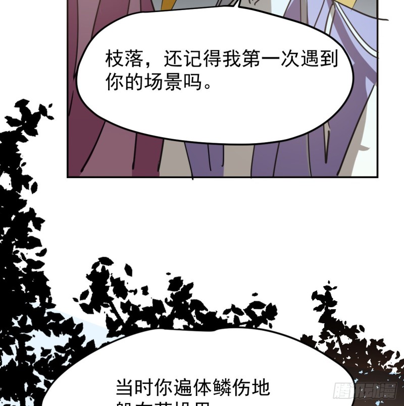 《敖敖待捕》漫画最新章节第132话 枝落无声免费下拉式在线观看章节第【25】张图片