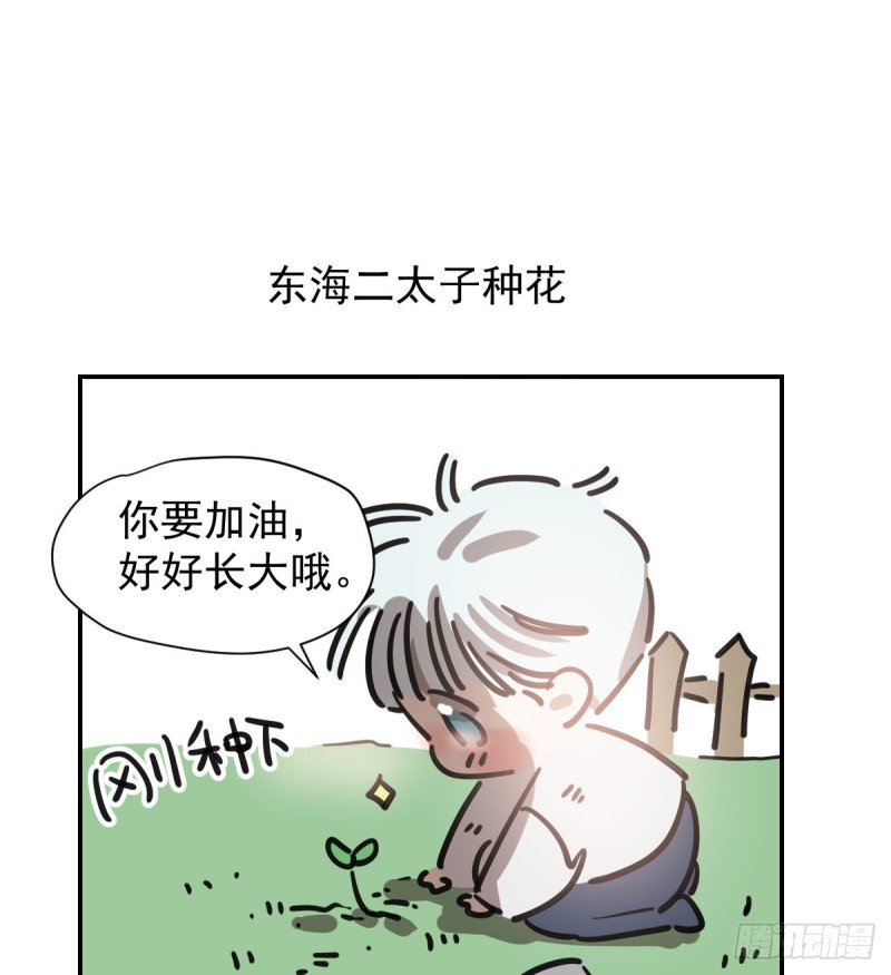 《敖敖待捕》漫画最新章节第133话 玄龙珠免费下拉式在线观看章节第【62】张图片