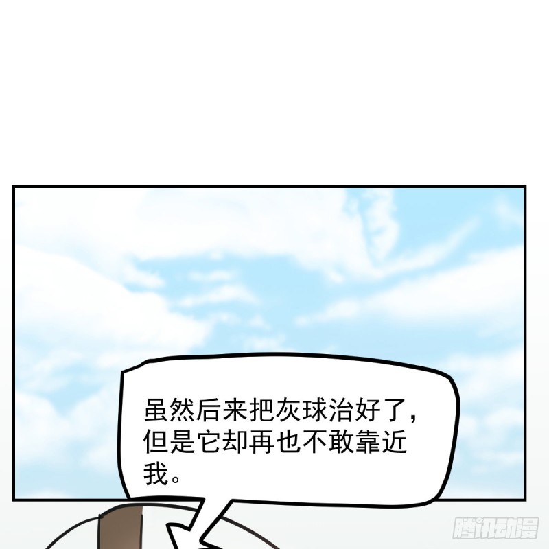 《敖敖待捕》漫画最新章节第136话 师父登场免费下拉式在线观看章节第【48】张图片