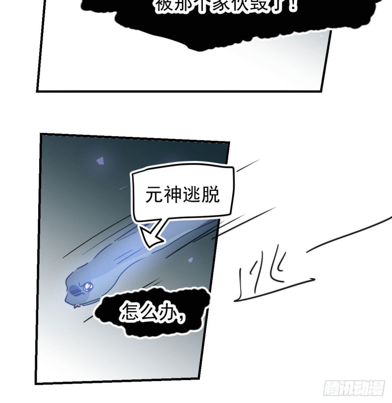 《敖敖待捕》漫画最新章节第139话 蛇大人再现免费下拉式在线观看章节第【44】张图片