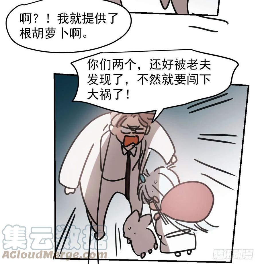 《敖敖待捕》漫画最新章节第151话 如有来生免费下拉式在线观看章节第【31】张图片