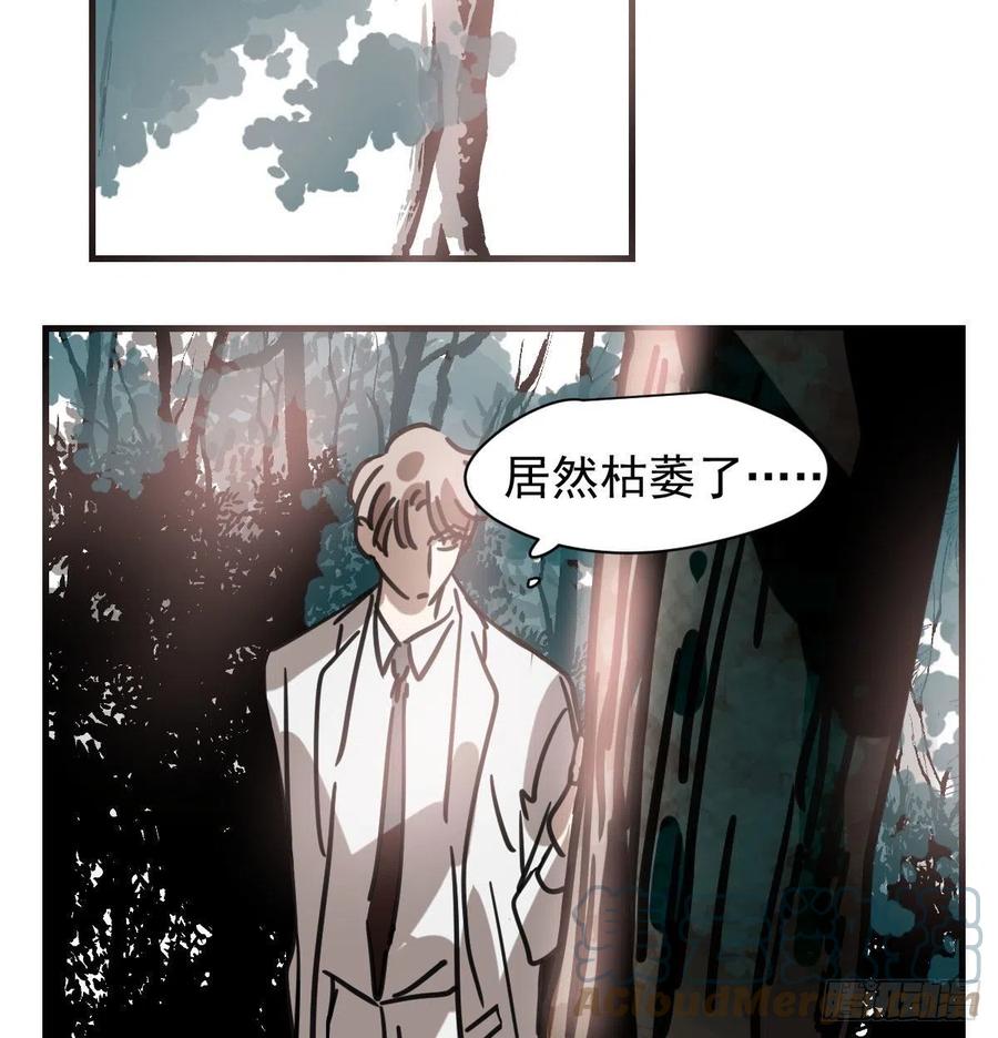 《敖敖待捕》漫画最新章节第158话 摘下面具免费下拉式在线观看章节第【52】张图片