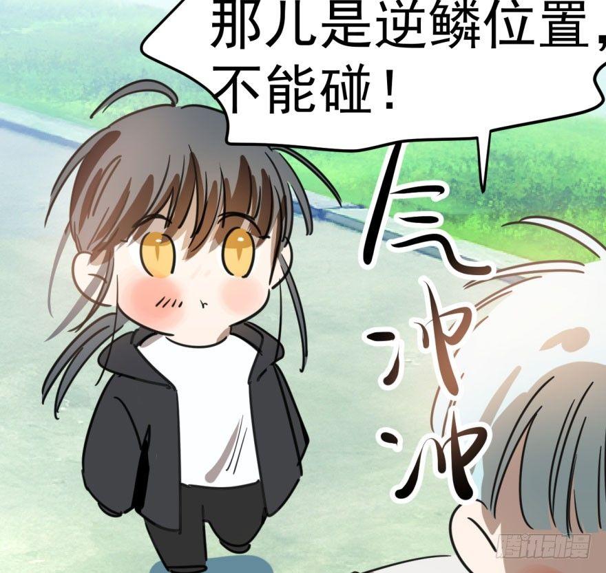 《敖敖待捕》漫画最新章节第二十五话 触碰逆鳞免费下拉式在线观看章节第【27】张图片