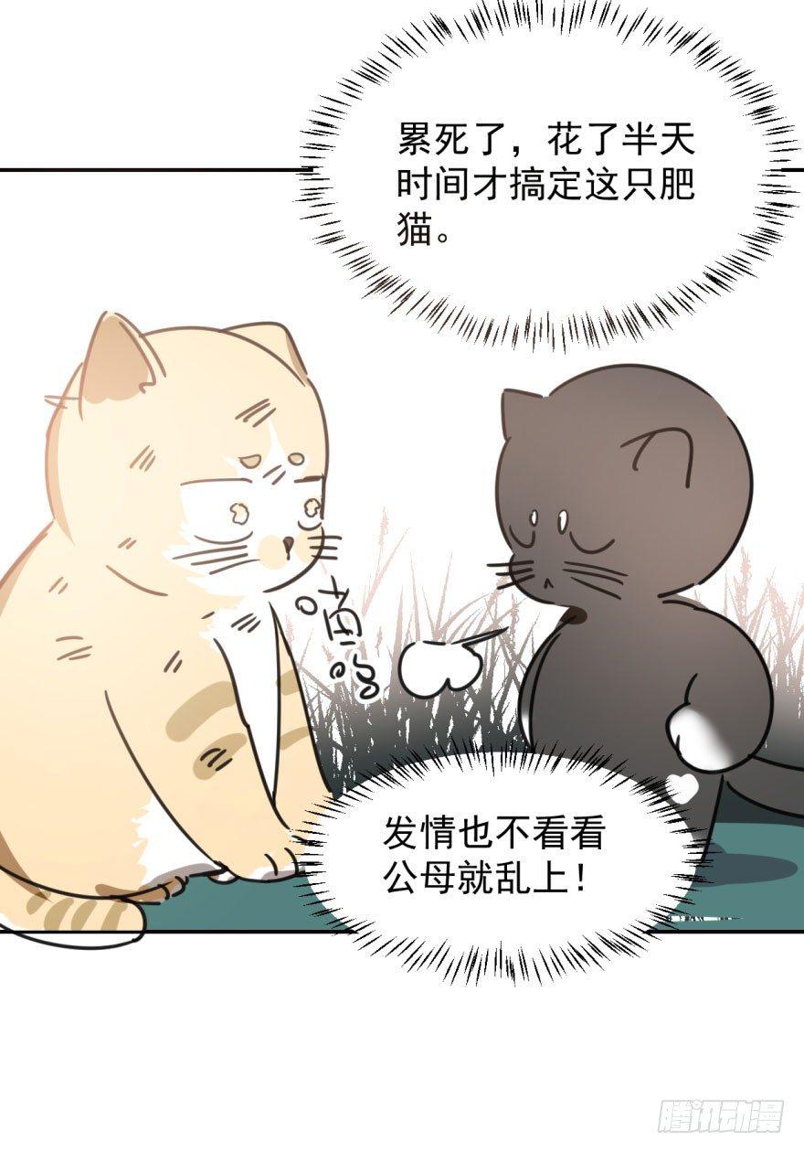 《敖敖待捕》漫画最新章节第二十五话 触碰逆鳞免费下拉式在线观看章节第【45】张图片