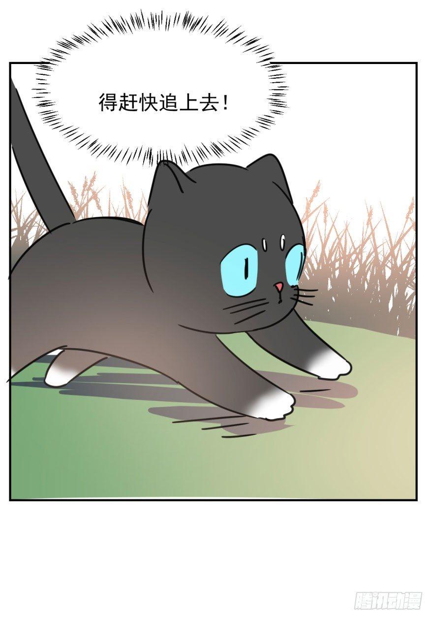 《敖敖待捕》漫画最新章节第二十五话 触碰逆鳞免费下拉式在线观看章节第【47】张图片