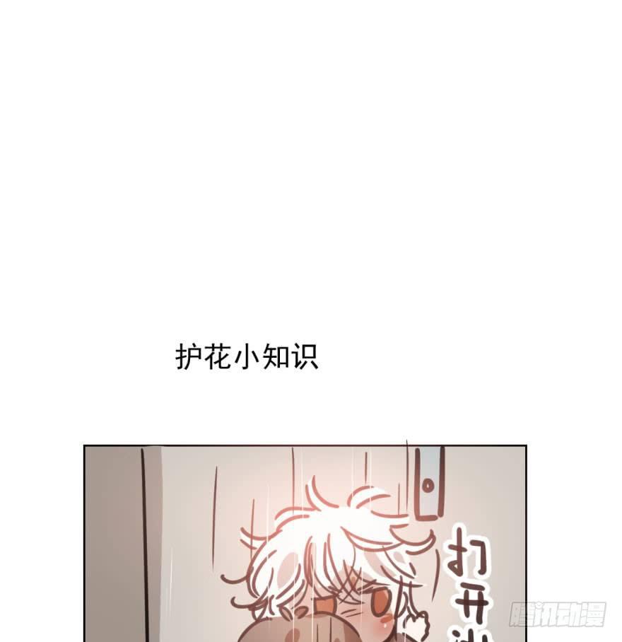 《敖敖待捕》漫画最新章节第四十三话 暗流涌动免费下拉式在线观看章节第【87】张图片