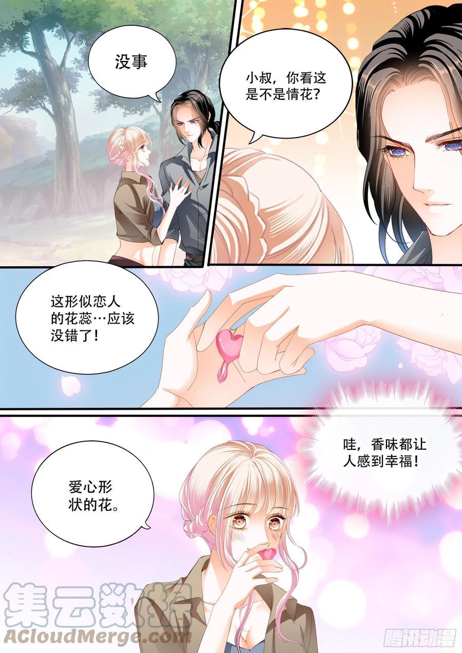 《霸道小叔，请轻撩！》漫画最新章节情花飘香免费下拉式在线观看章节第【11】张图片