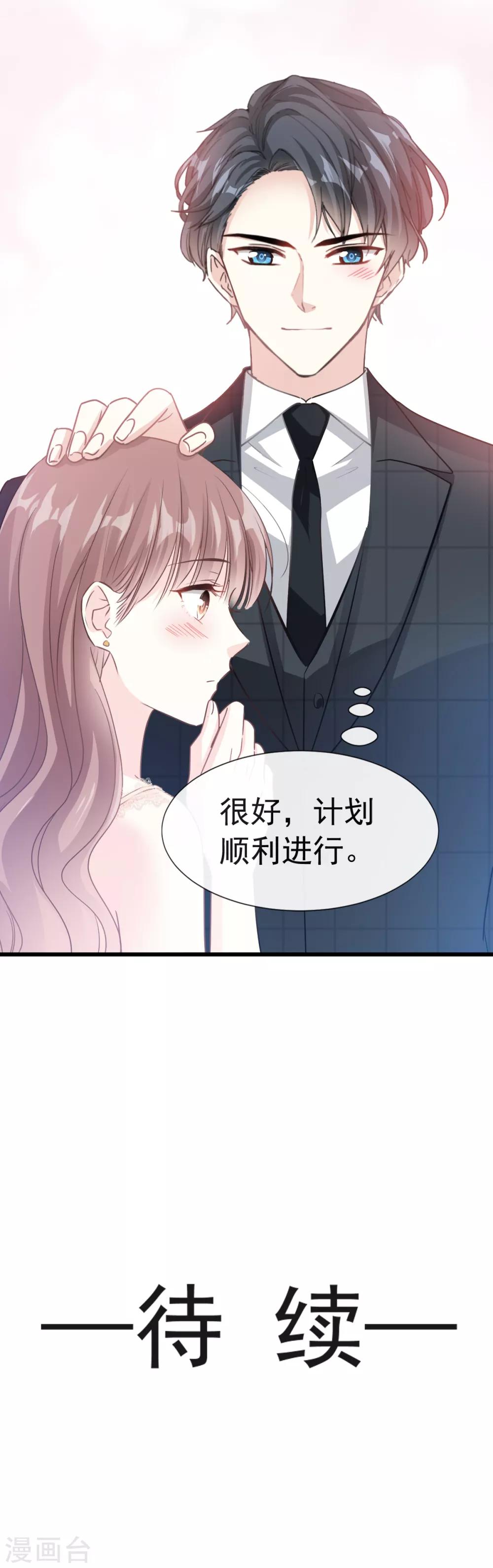 《霸道总裁轻轻爱》漫画最新章节第38话 把媳妇拐回家免费下拉式在线观看章节第【24】张图片