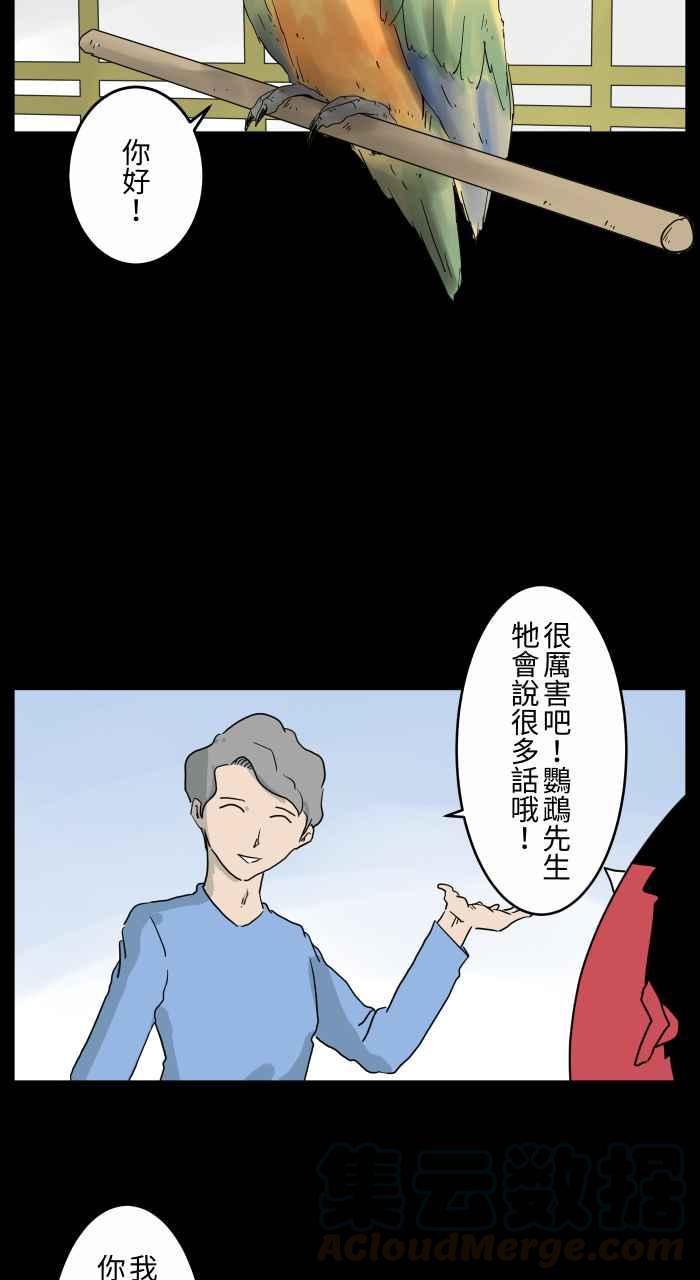 《百鬼夜行志・一夜怪谈之卷》漫画最新章节[第668话] 鹦鹉免费下拉式在线观看章节第【4】张图片