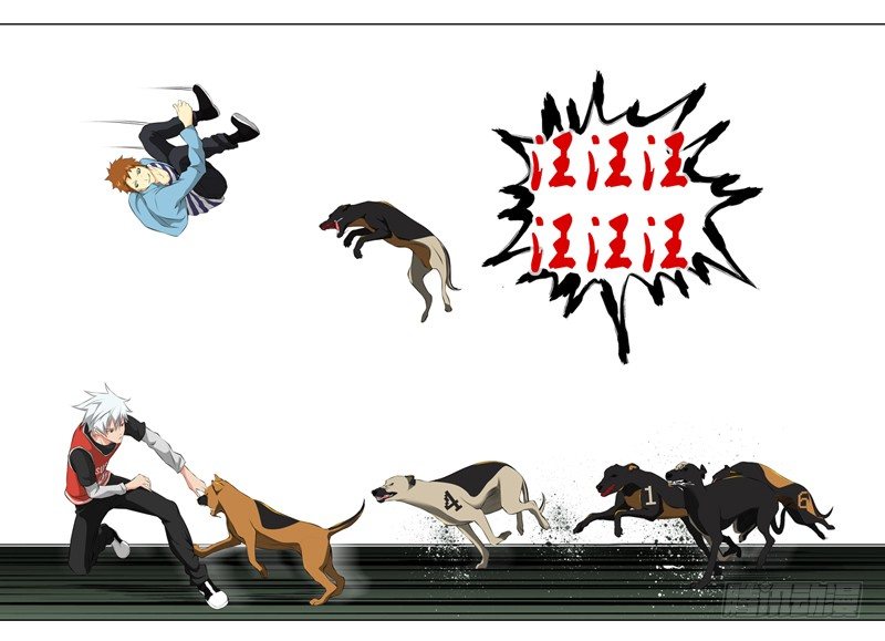 【白灵杀手】漫画-（55.六条狗）章节漫画下拉式图片-9.jpg