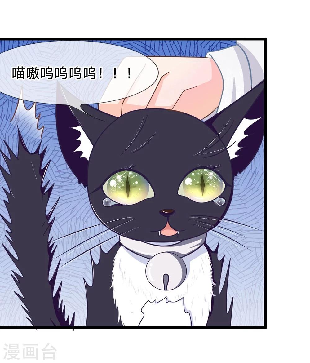 【抱紧我的君主大人】漫画-（第107-108话 吃豆豆的猫）章节漫画下拉式图片-29.jpg