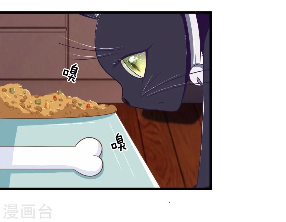 【抱紧我的君主大人】漫画-（第107-108话 吃豆豆的猫）章节漫画下拉式图片-6.jpg
