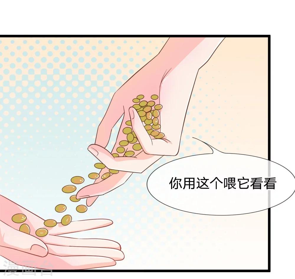 【抱紧我的君主大人】漫画-（第107-108话 吃豆豆的猫）章节漫画下拉式图片-9.jpg
