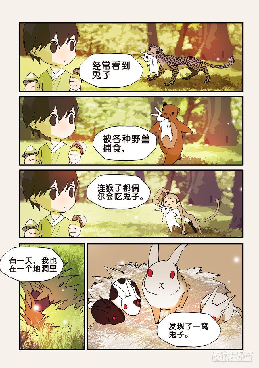 《不轮之轮》漫画最新章节118平衡免费下拉式在线观看章节第【1】张图片