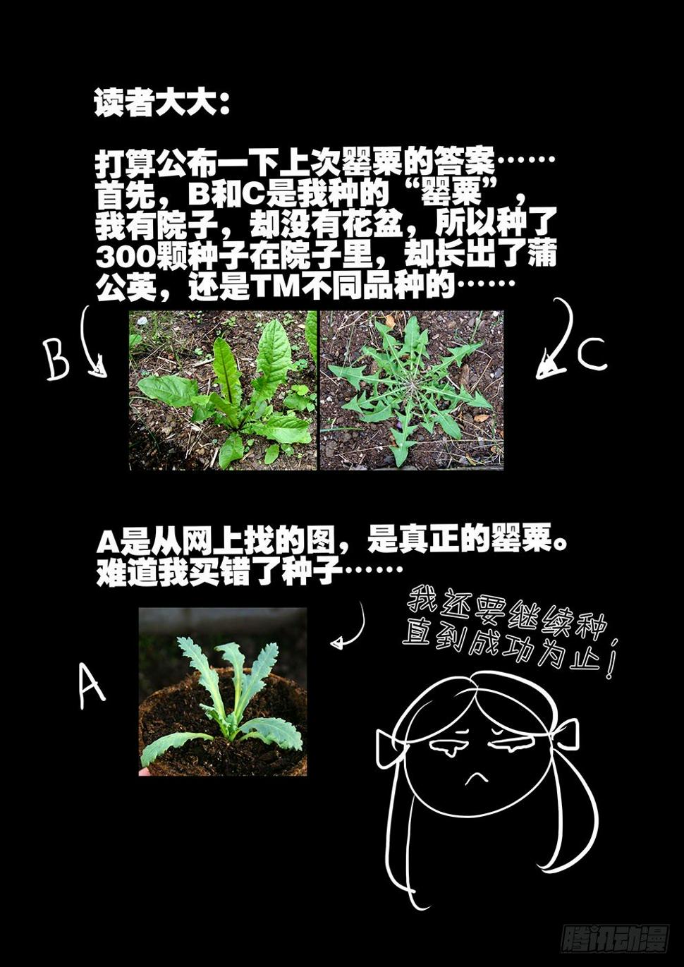 《不轮之轮》漫画最新章节137变故免费下拉式在线观看章节第【12】张图片