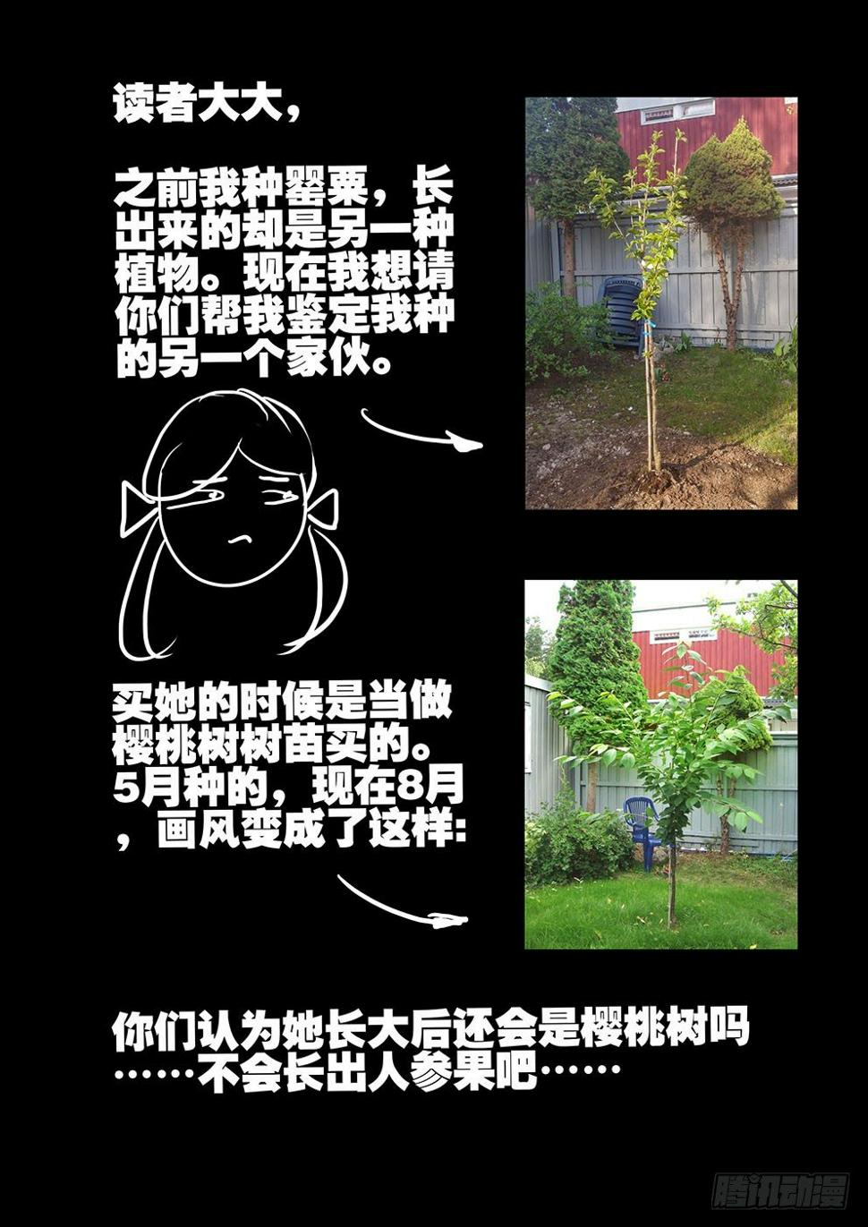 《不轮之轮》漫画最新章节138放下！免费下拉式在线观看章节第【12】张图片