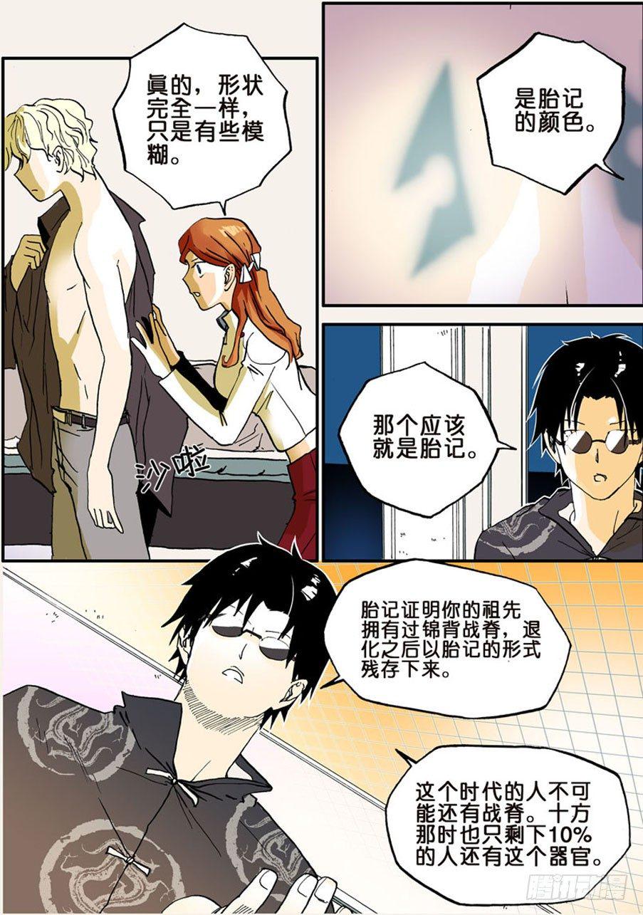 《不轮之轮》漫画最新章节016锦背战脊免费下拉式在线观看章节第【10】张图片