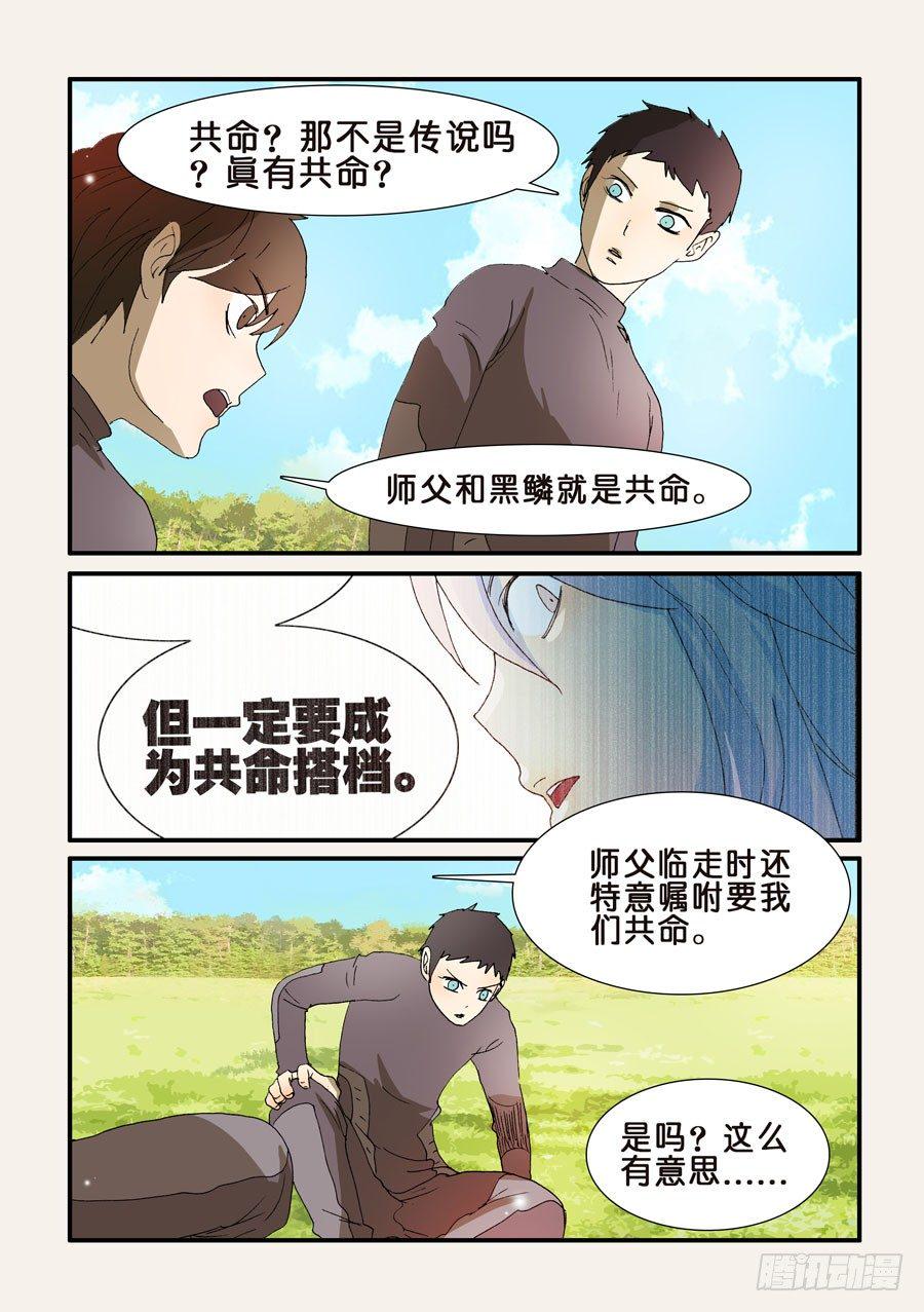 《不轮之轮》漫画最新章节203使用方法免费下拉式在线观看章节第【5】张图片