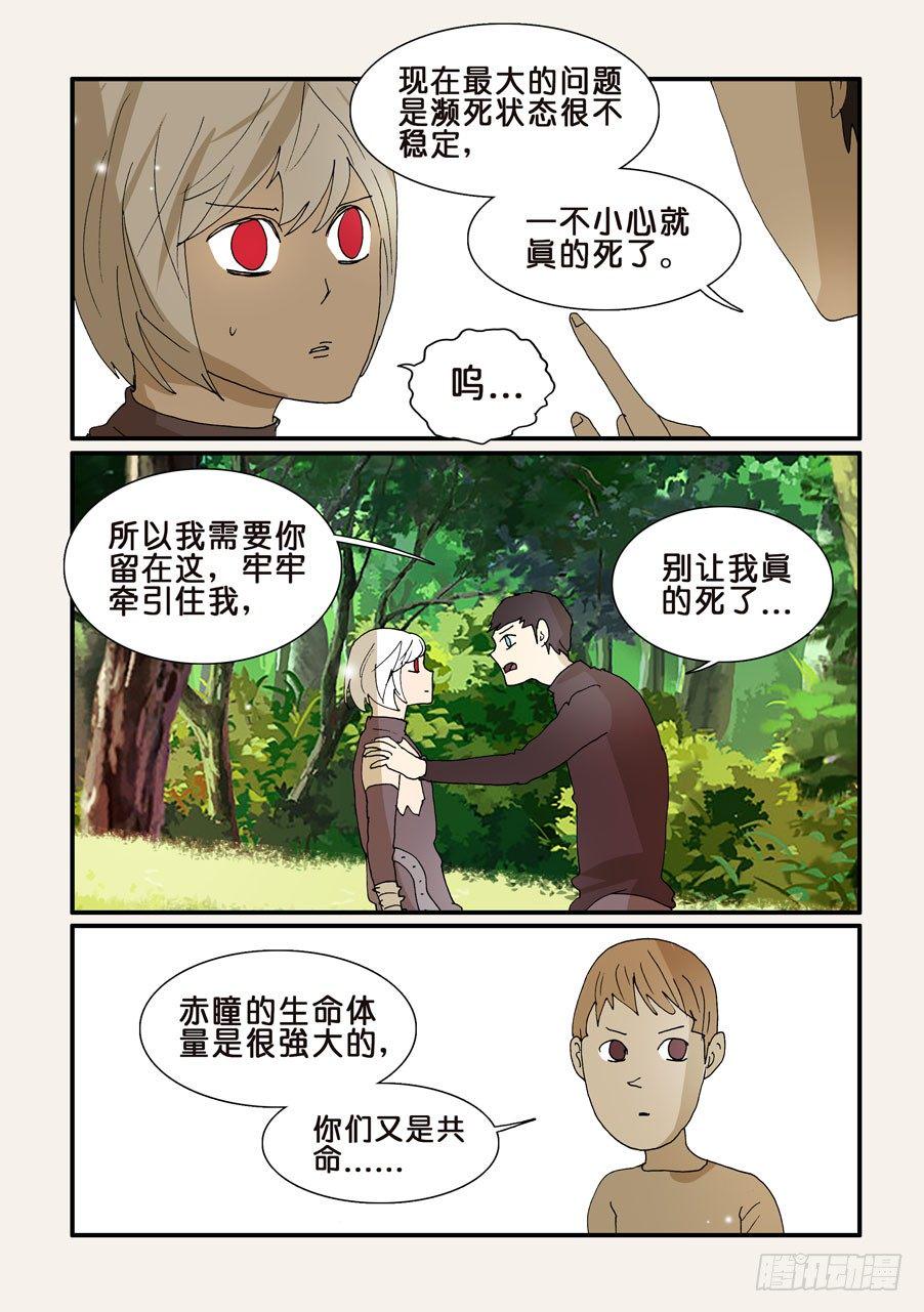 《不轮之轮》漫画最新章节277曼陀罗免费下拉式在线观看章节第【7】张图片