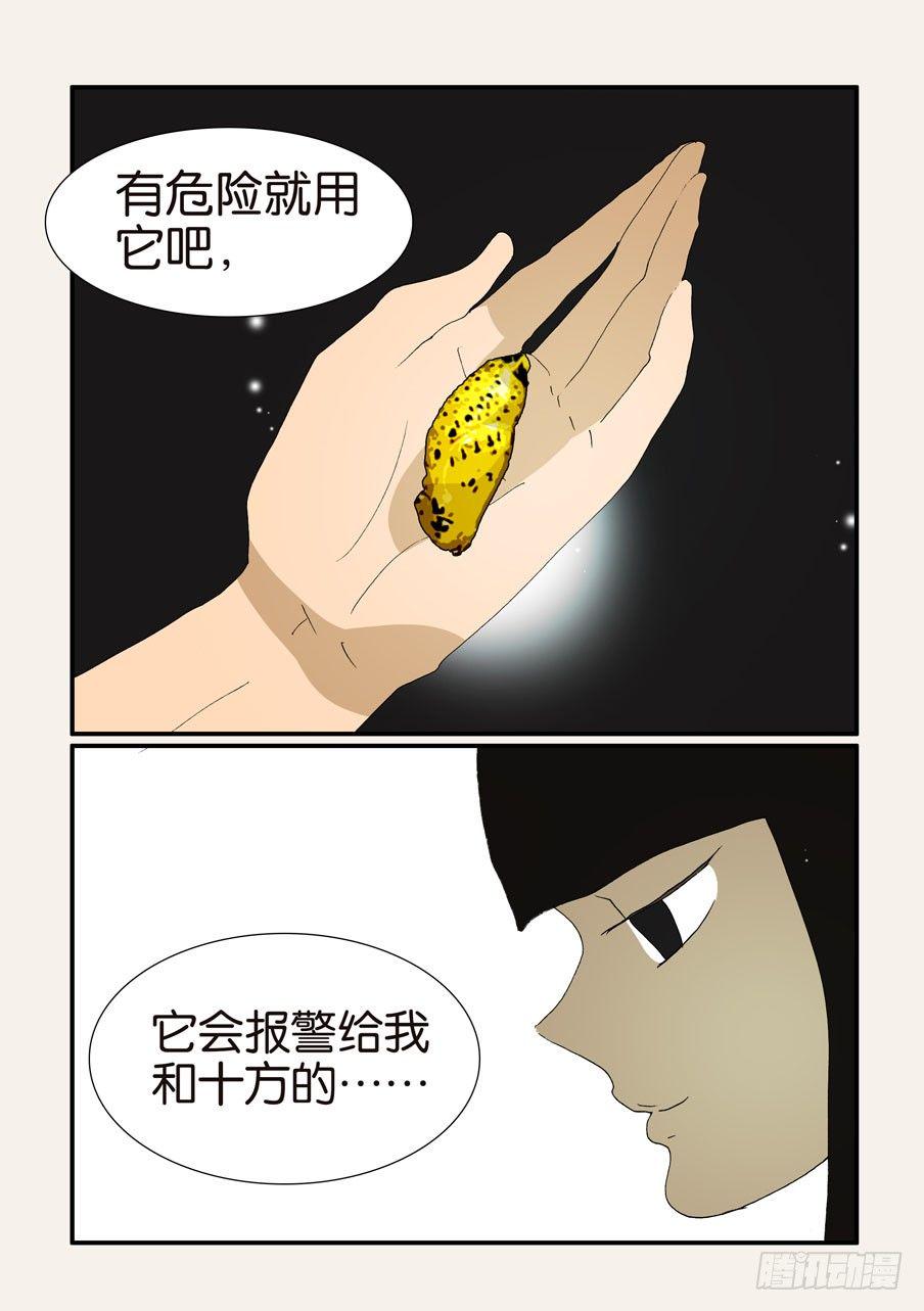 《不轮之轮》漫画最新章节370蝶蛹免费下拉式在线观看章节第【15】张图片