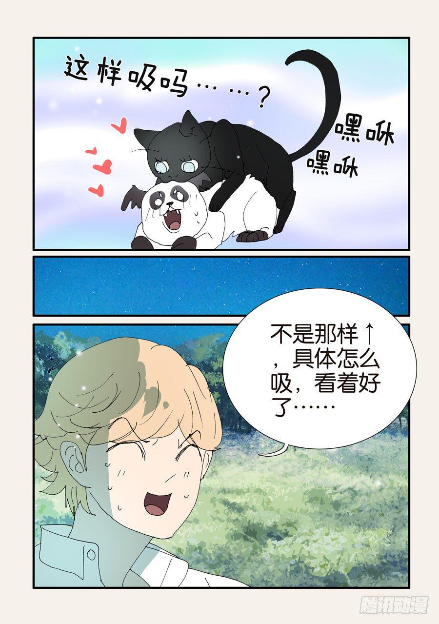 《不轮之轮》漫画最新章节375结晶的碰撞免费下拉式在线观看章节第【15】张图片