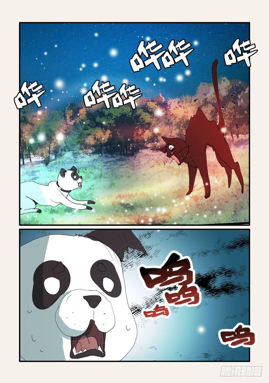 《不轮之轮》漫画最新章节375结晶的碰撞免费下拉式在线观看章节第【21】张图片